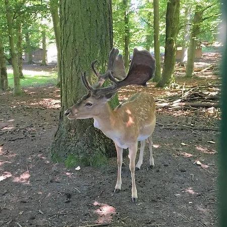 Am Rehgehege 3 * Uberlingen